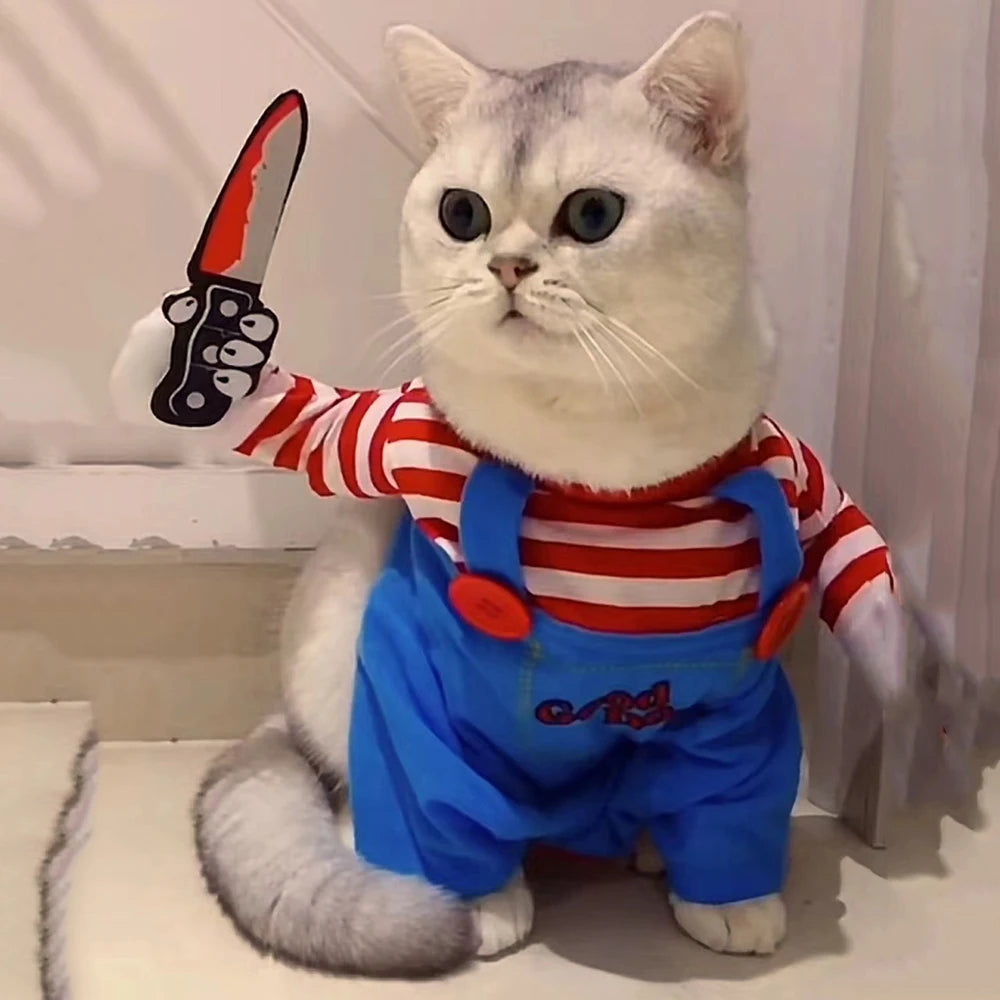 Funny Cat Halloween Costume – Spooky & Adorable