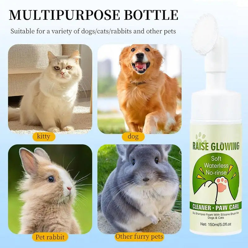 Portable Dog Paw Cleaner – Fresh Paws Every Day 🐾🧼