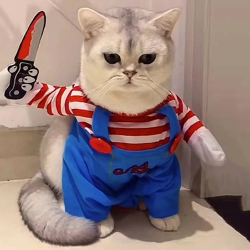 Funny Cat Halloween Costume – Spooky & Adorable
