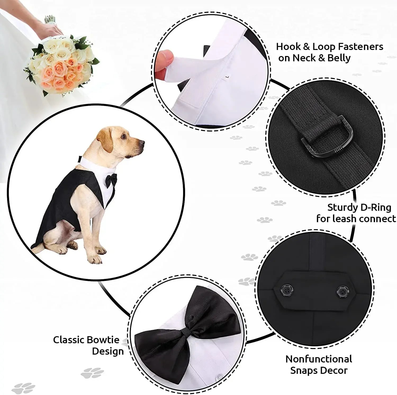 Dog Tuxedo Suit – Formal, Stylish & Absolutely Adorable