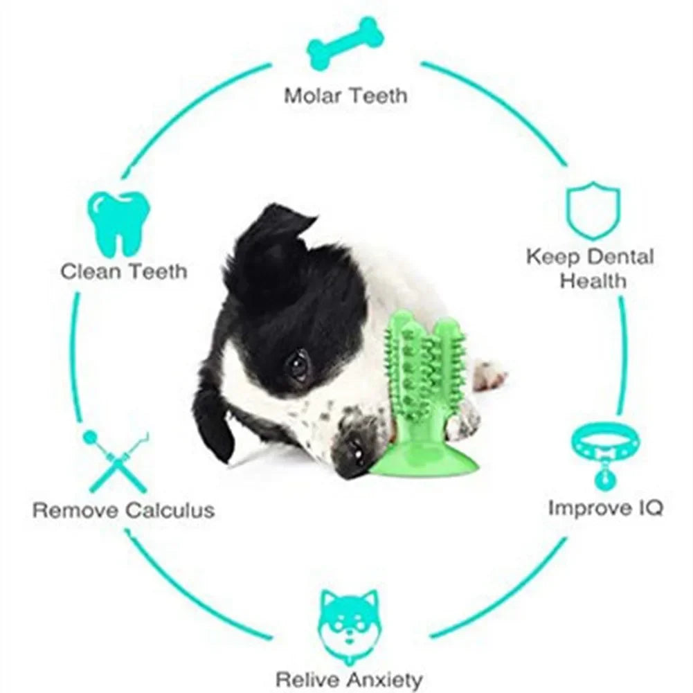 Smart Chew Toothbrush Toy – Play & Clean in One