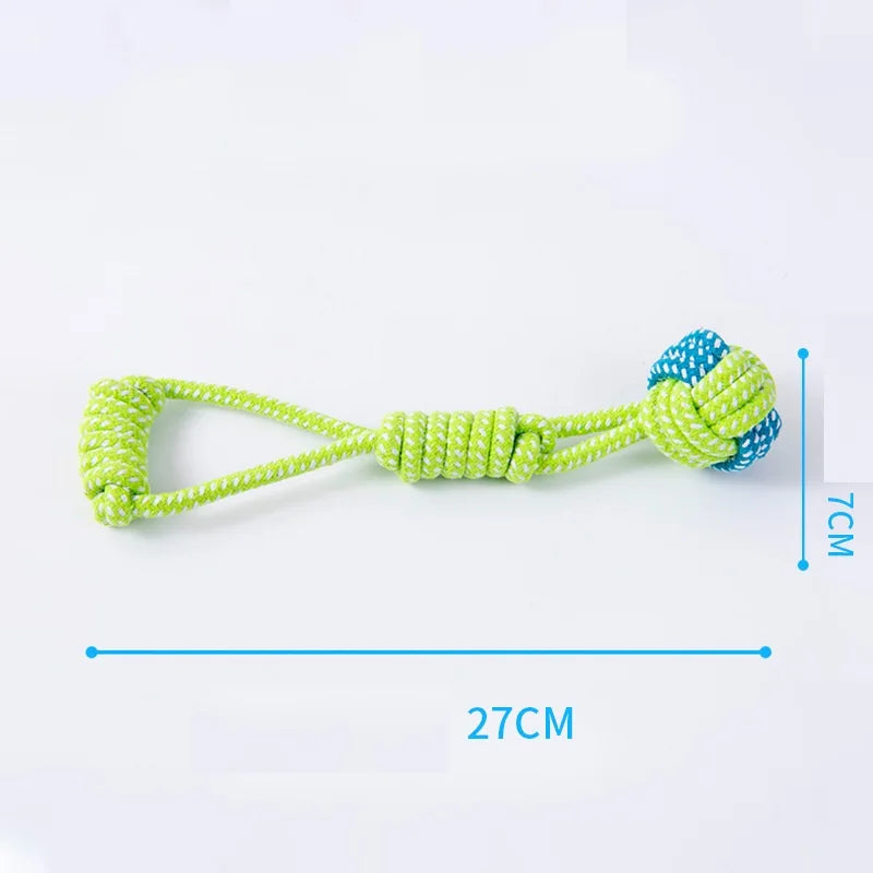 Tough Chew & Play Toy – Built for Endless Fun