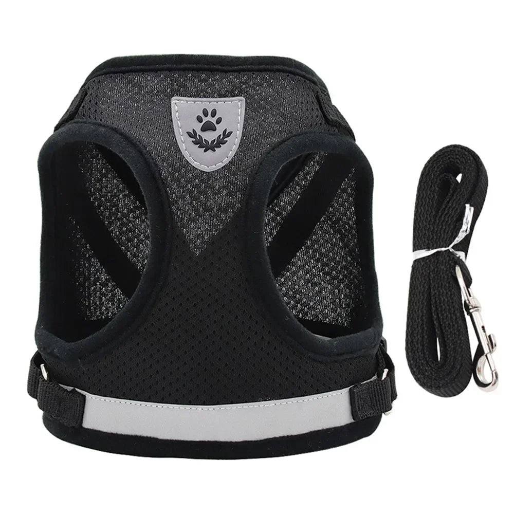 Reflective Cat Harness & Leash Set – Safe Adventures Day & Night 🌙🐾